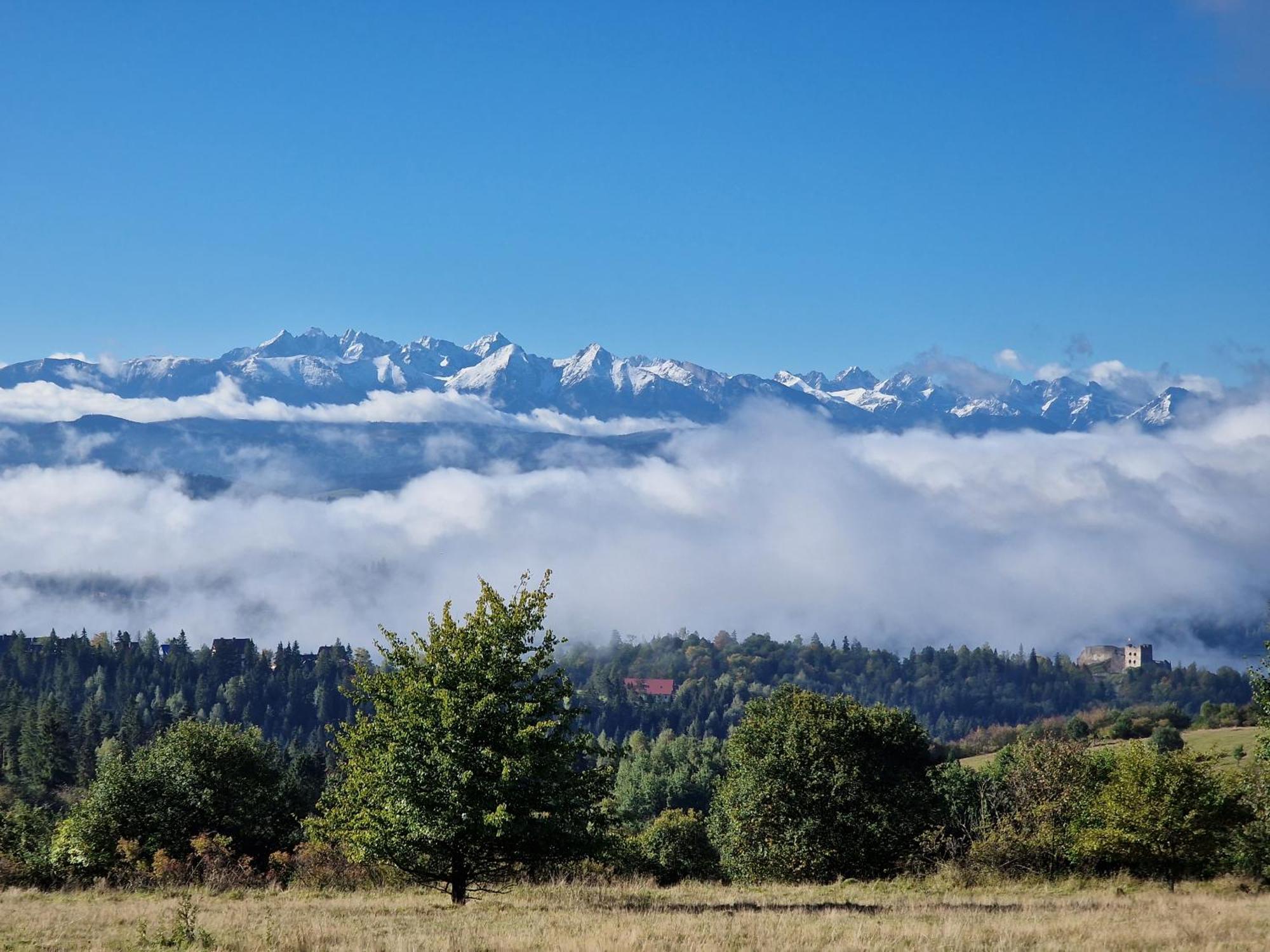 Lobrotno Gazdzina - Goralska Chalupa Na Wylacznosc Bukowina Tatrzańska Exterior foto