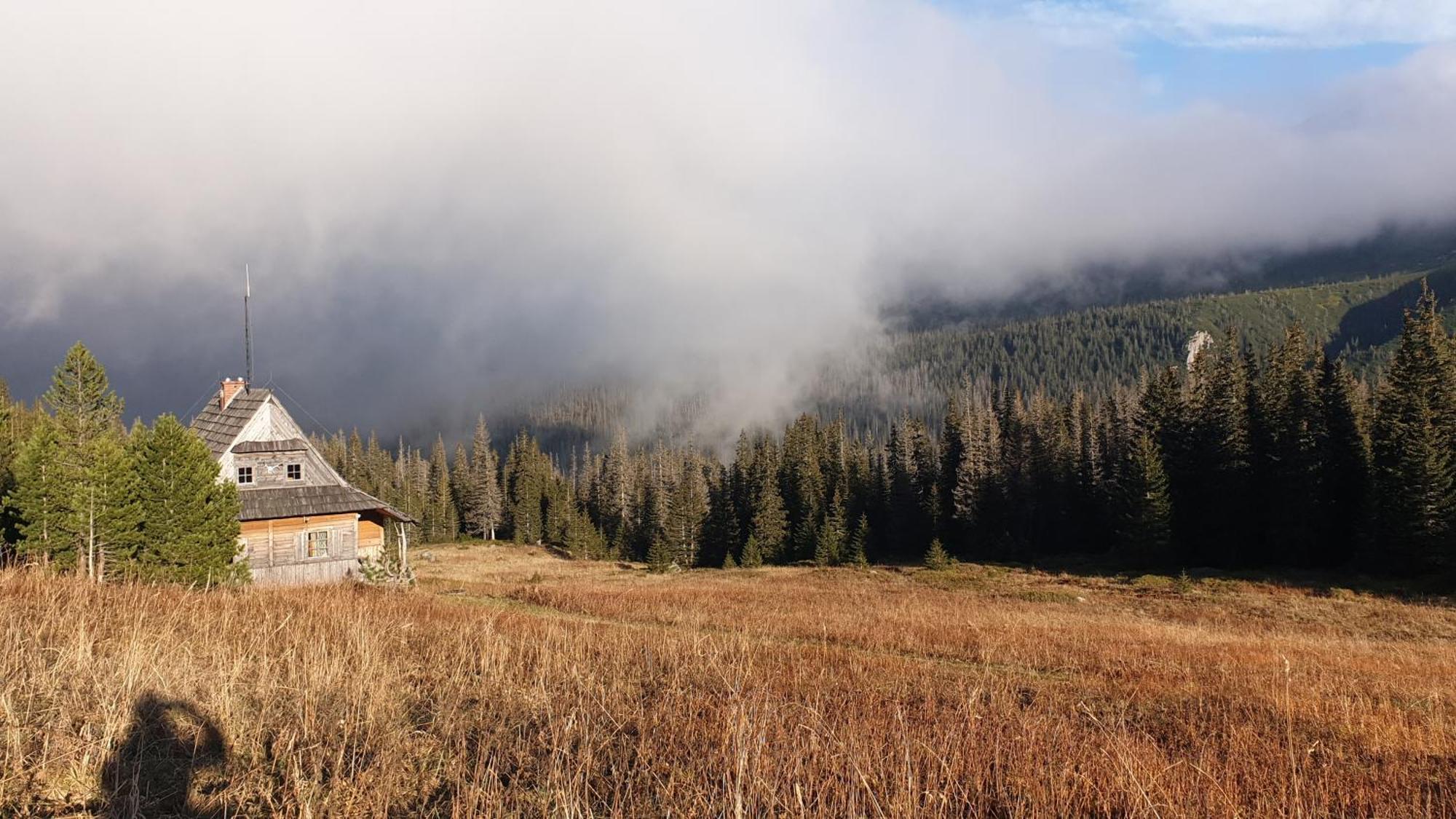 Lobrotno Gazdzina - Goralska Chalupa Na Wylacznosc Bukowina Tatrzańska Exterior foto